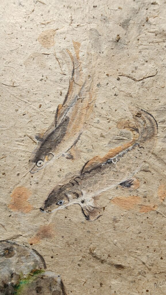 Duo de carpes, détail