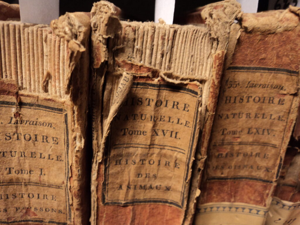 Anciens livres d'histoire