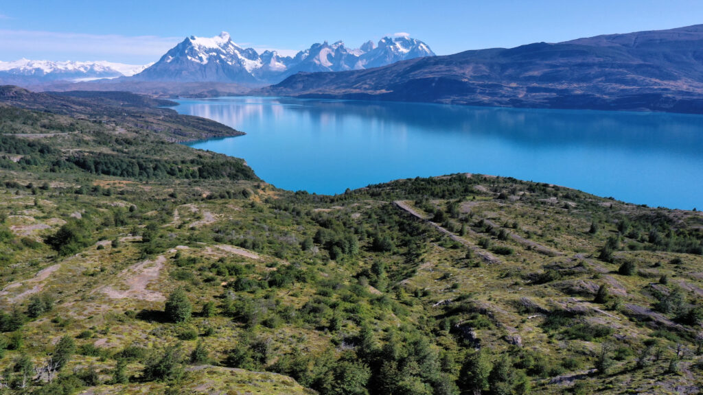 Torres del paine
